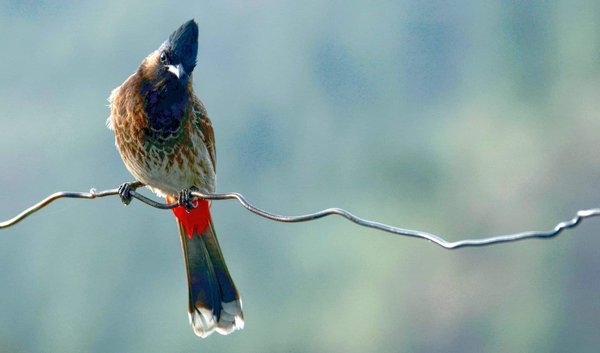 What Tactics Can UK Real Estate Agents Use to Sell Properties Faster?