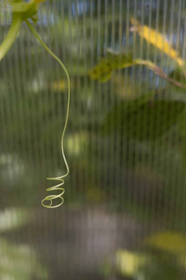 How to Adapt Training Programs for Athletes with Visual Impairments?